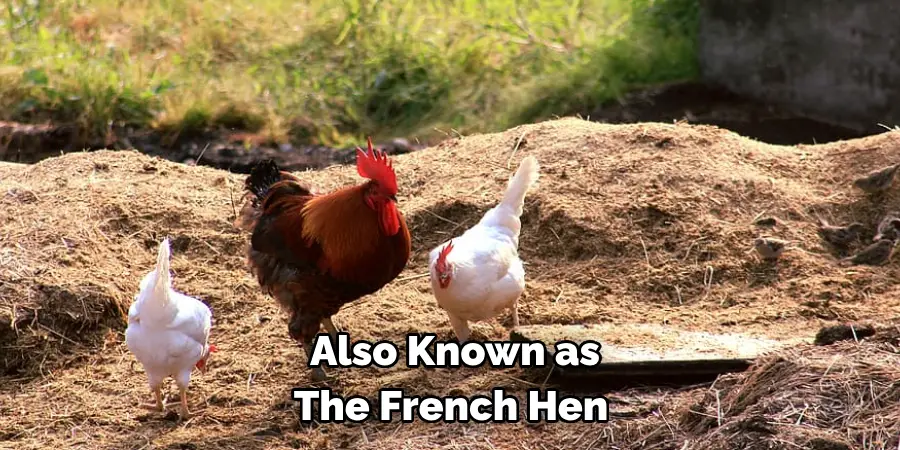 Also Known as The French Hen