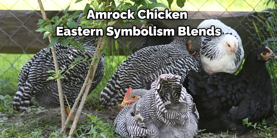 Amrock Chicken 
Eastern Symbolism Blends 