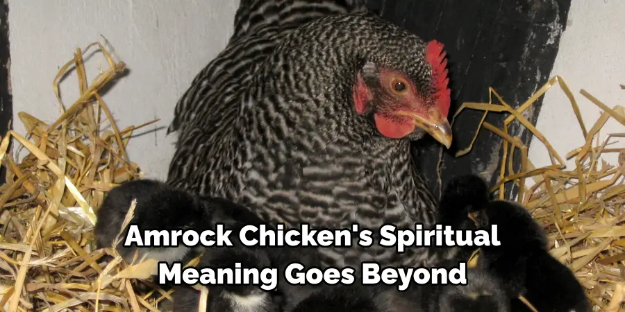 Amrock Chicken's Spiritual 
Meaning Goes Beyond