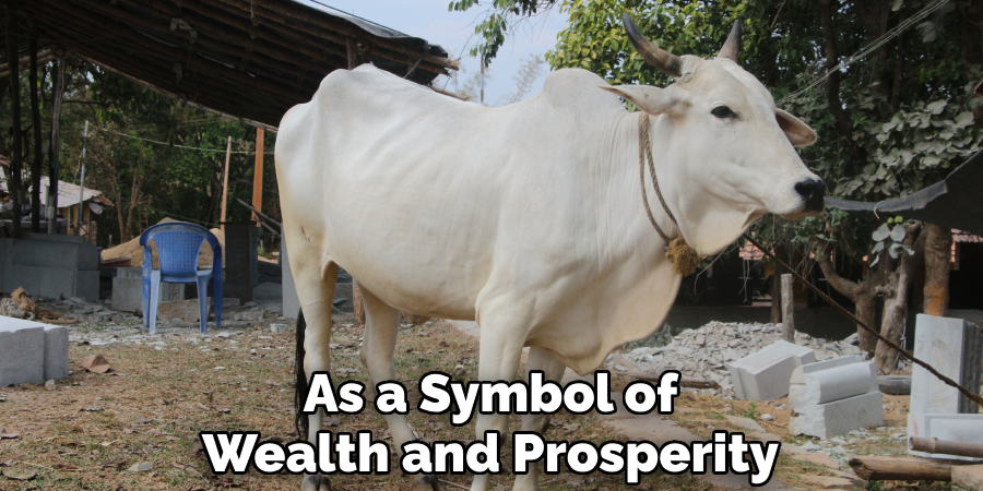 As a Symbol of Wealth and Prosperity