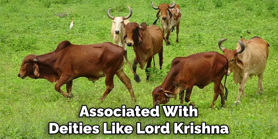 Associated With Deities Like Lord Krishna