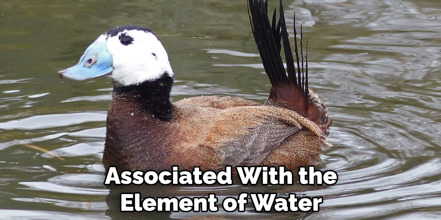 Associated With the Element of Water
