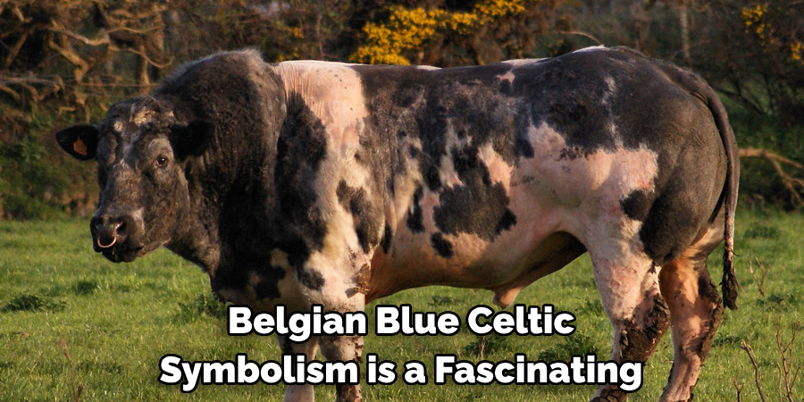 Belgian Blue Celtic 
Symbolism is a Fascinating