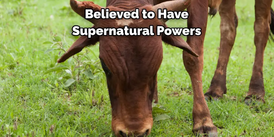 Believed to Have 
Supernatural Powers