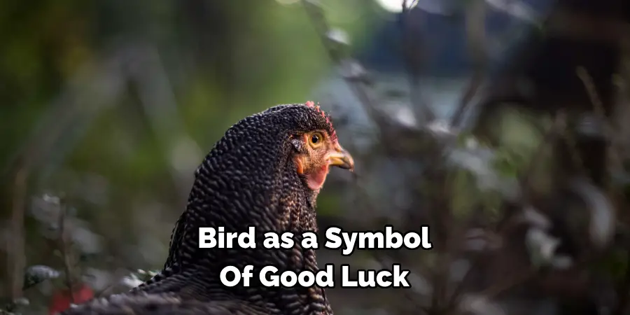 Bird as a Symbol 
Of Good Luck