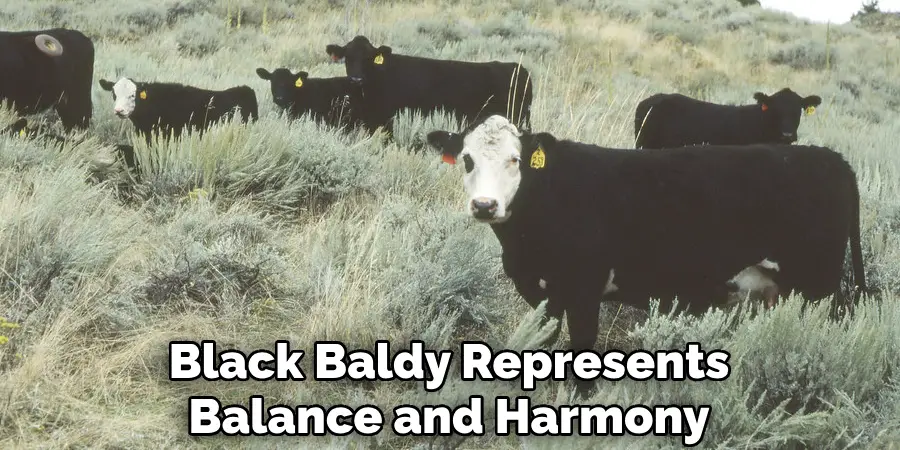 Black Baldy Represents Balance and Harmony