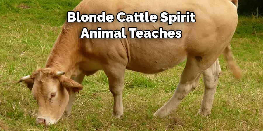 Blonde Cattle Spirit 
Animal Teaches