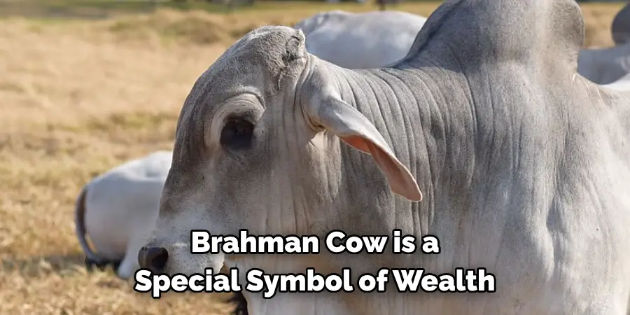 Brahman cow is a special symbol of wealth