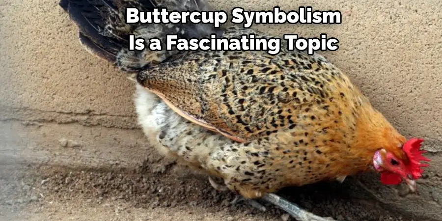 Buttercup Symbolism 
Is a Fascinating Topic