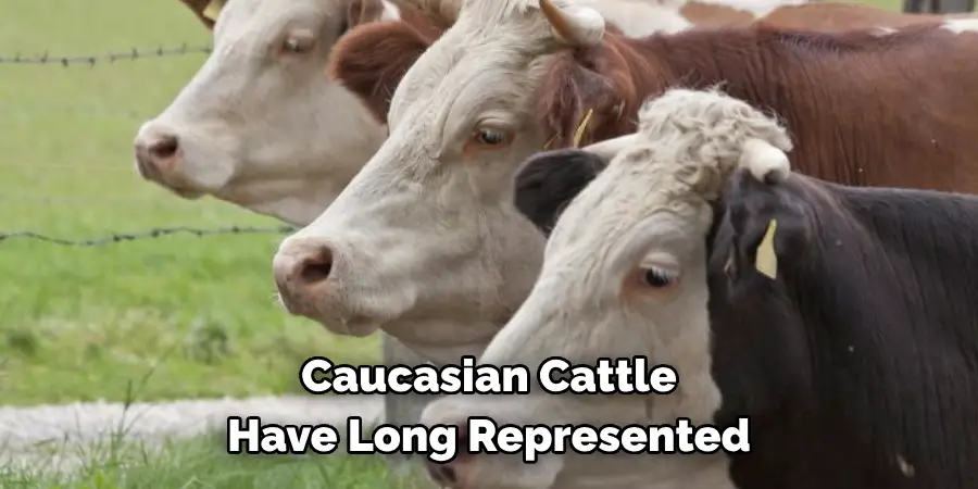 Caucasian Cattle 
Have Long Represented 