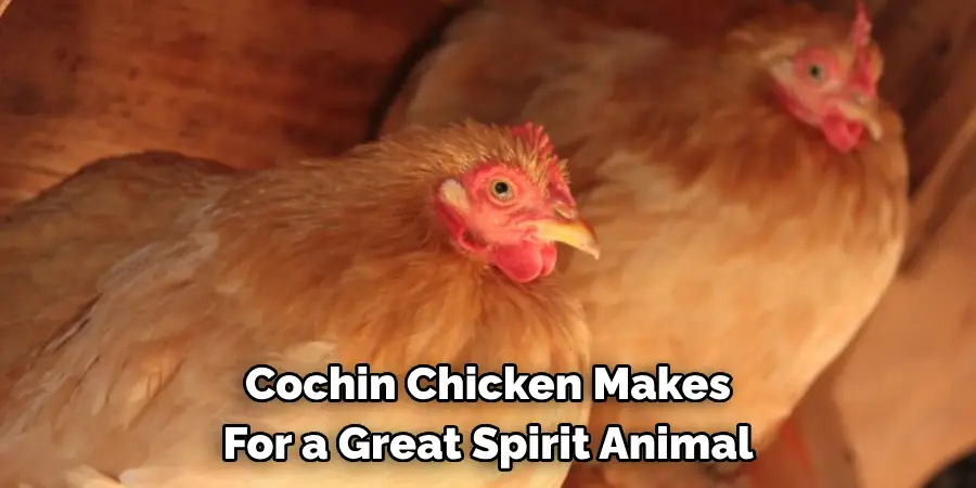 Cochin Chicken Makes 
For a Great Spirit Animal