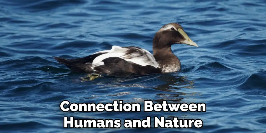 Connection Between Humans and Nature