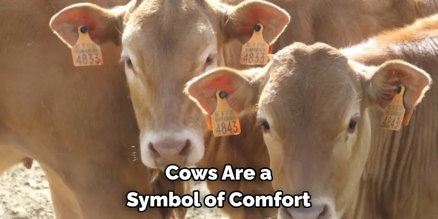 Cows Are a Symbol of Comfort