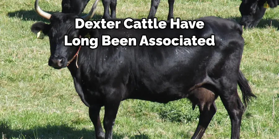 Dexter Cattle Have 
Long Been Associated