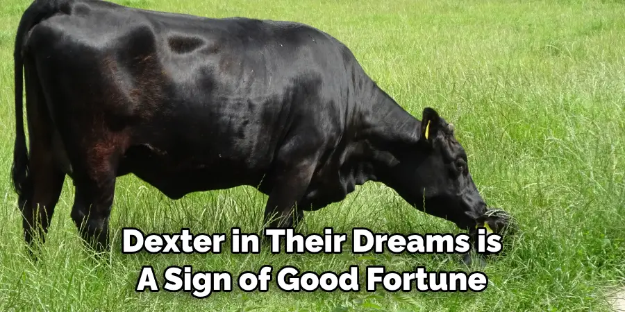 Dexter in Their Dreams is 
A Sign of Good Fortune