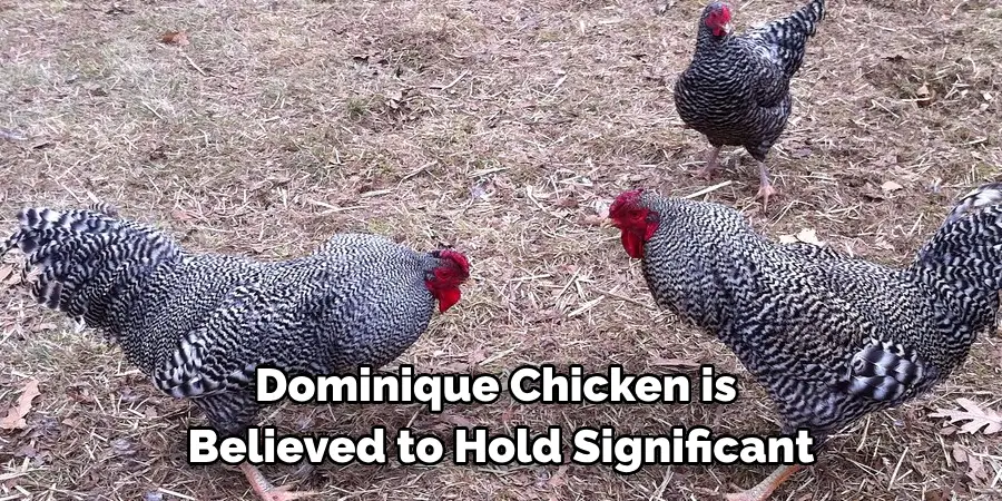 Dominique Chicken is 
Believed to Hold Significant
