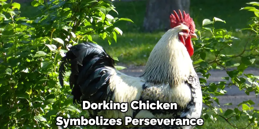 Dorking Chicken 
Symbolizes Perseverance