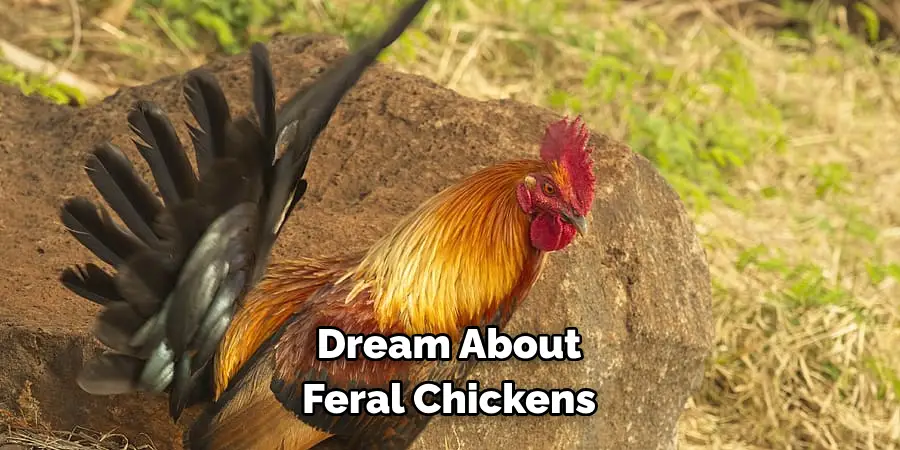 Dream About Feral Chickens