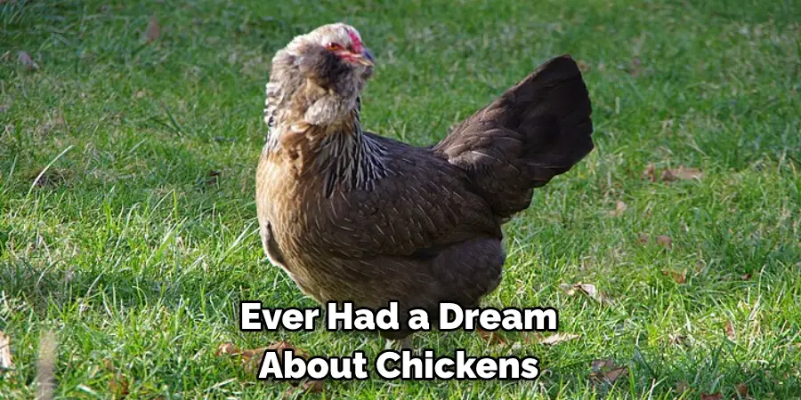 Ever Had a Dream 
About Chickens