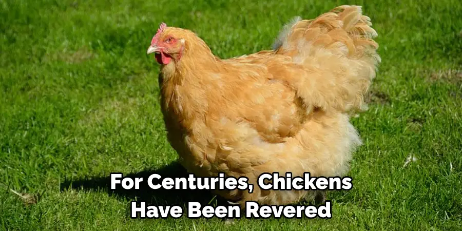 For Centuries, Chickens 
Have Been Revered 