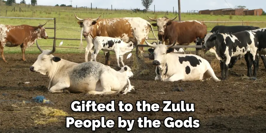 Gifted to the Zulu People by the Gods