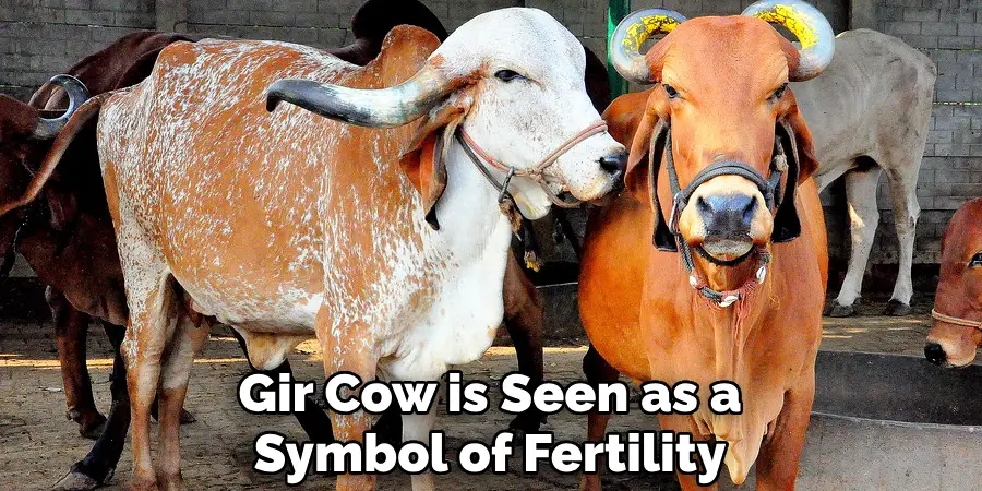 Gir Cow is Seen as a Symbol of Fertility