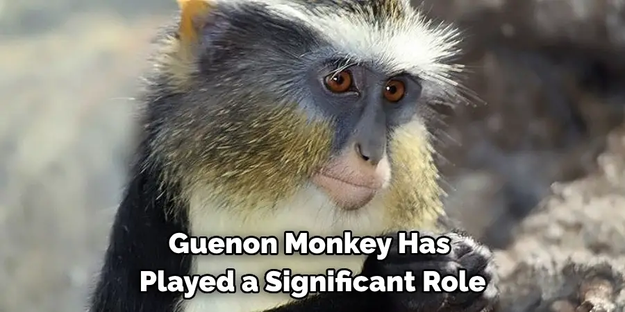 Guenon Monkey Has 
Played a Significant Role