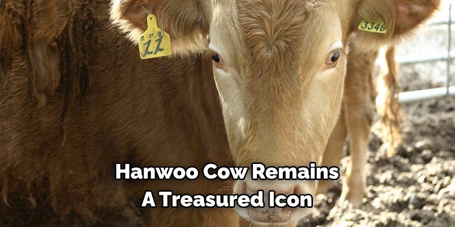 Hanwoo Cow Remains 
A Treasured Icon