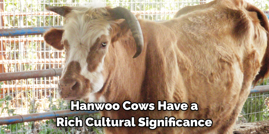 Hanwoo Cows Have a 
Rich Cultural Significance