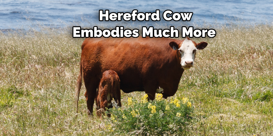  Hereford Cow 
Embodies Much More