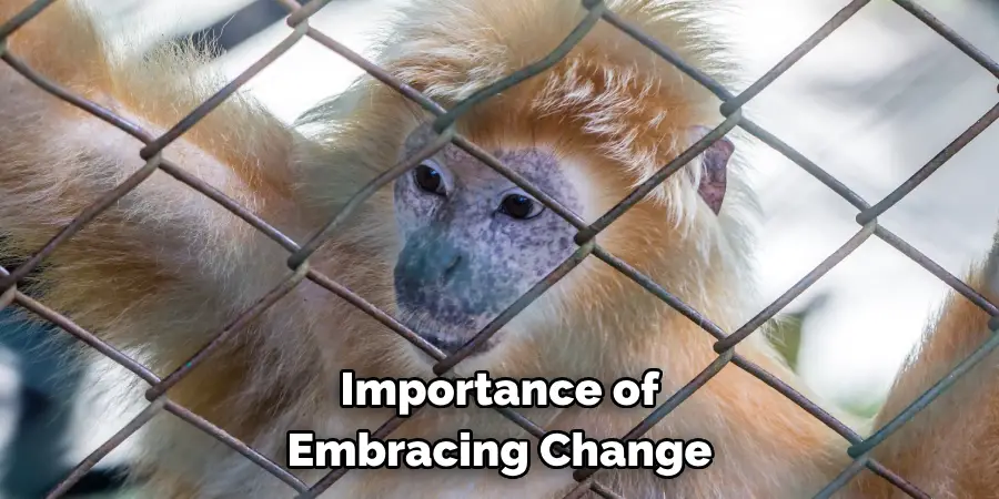 Importance of Embracing Change