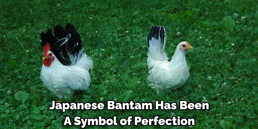 Japanese Bantam Has Been 
A Symbol of Perfection