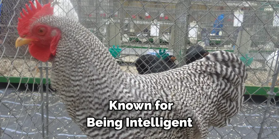  Known for 
Being Intelligent