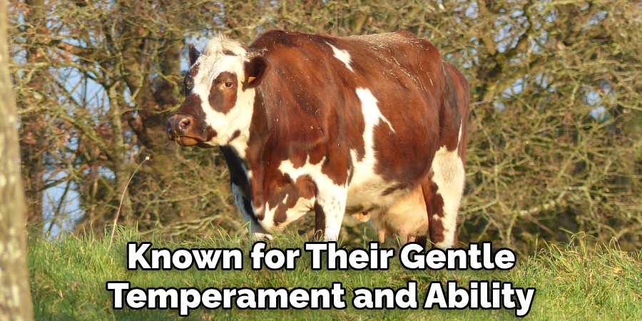 Known for Their Gentle Temperament and Ability