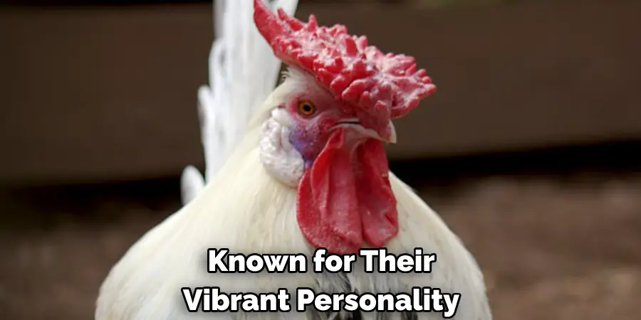 Known for Their
Vibrant Personality