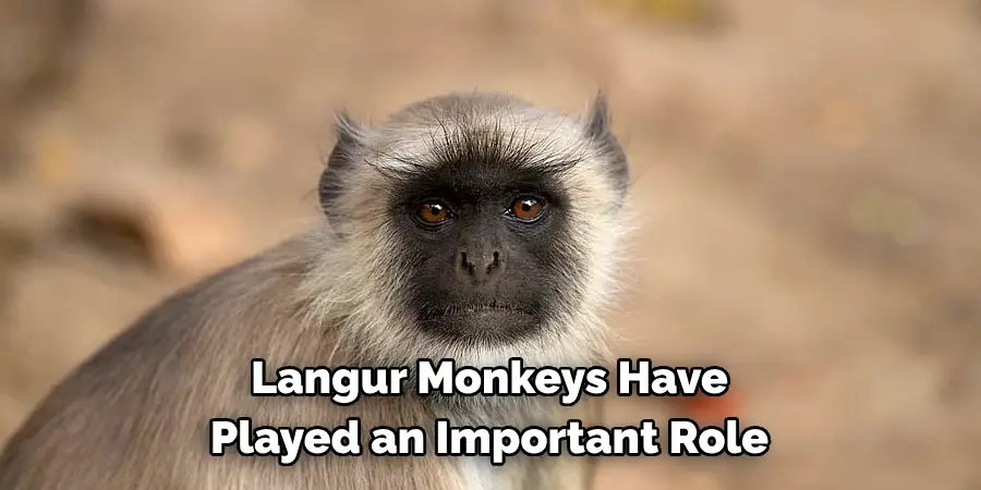 Langur Monkeys Have 
Played an Important Role 
