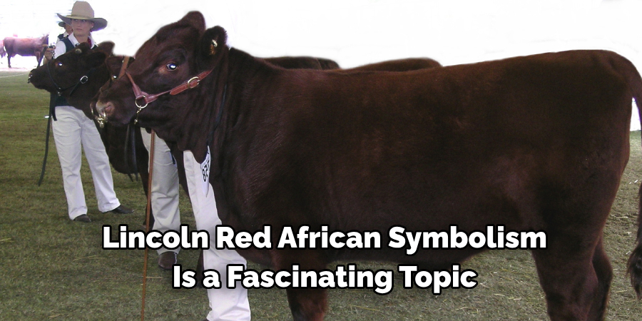 Lincoln Red African Symbolism 
Is a Fascinating Topic