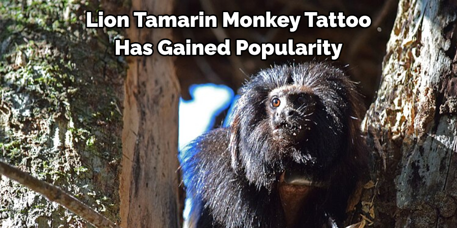 Lion Tamarin Monkey Tattoo 
Has Gained Popularity