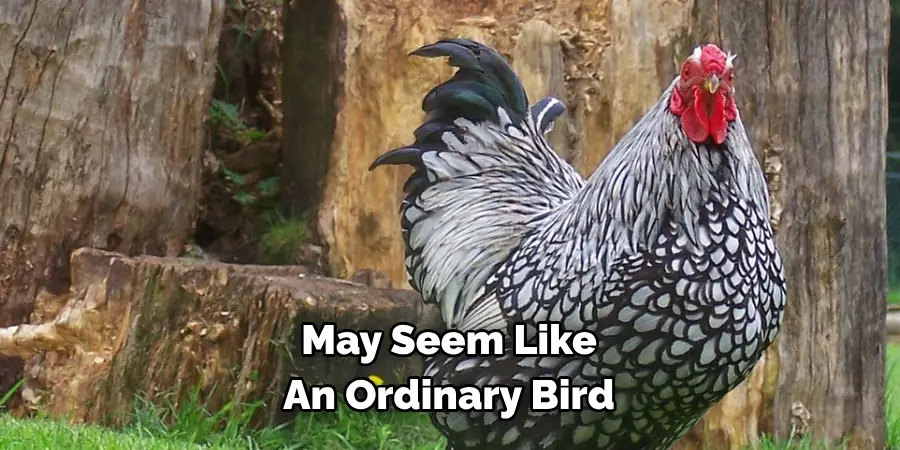 May Seem Like 
An Ordinary Bird