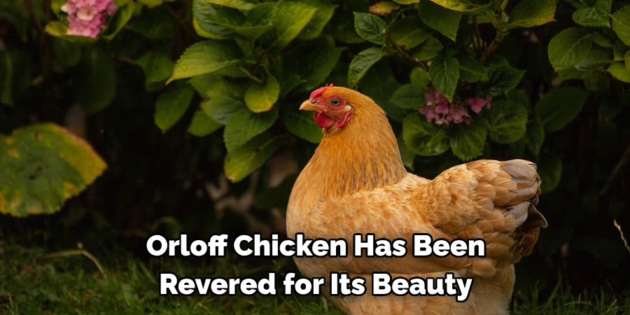 Orloff Chicken Has Been 
Revered for Its Beauty