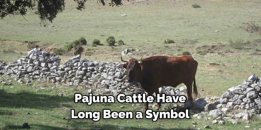 Pajuna Cattle Have 
Long Been a Symbol