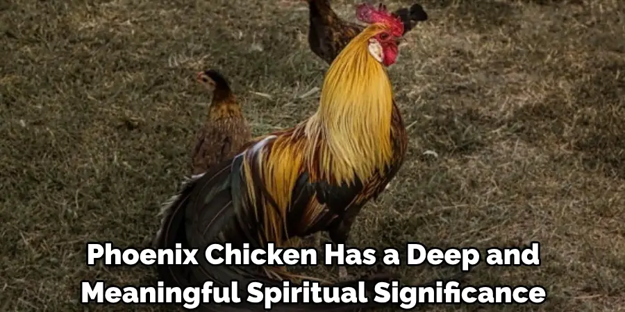 Phoenix Chicken Has a Deep and 
Meaningful Spiritual Significance