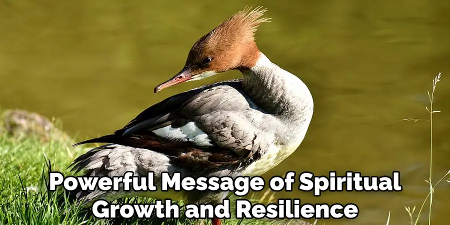 Powerful Message of Spiritual
Growth and Resilience