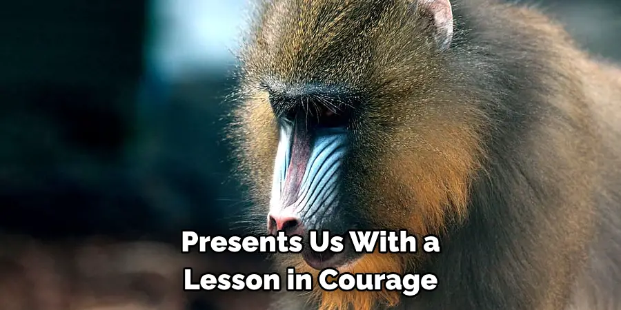 Presents Us With a 
Lesson in Courage