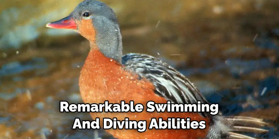 Remarkable Swimming And Diving Abilities