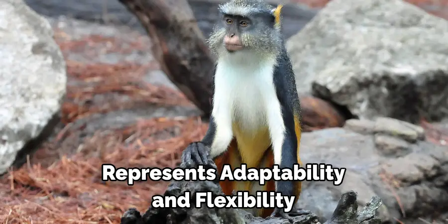 Represents Adaptability 
and Flexibility