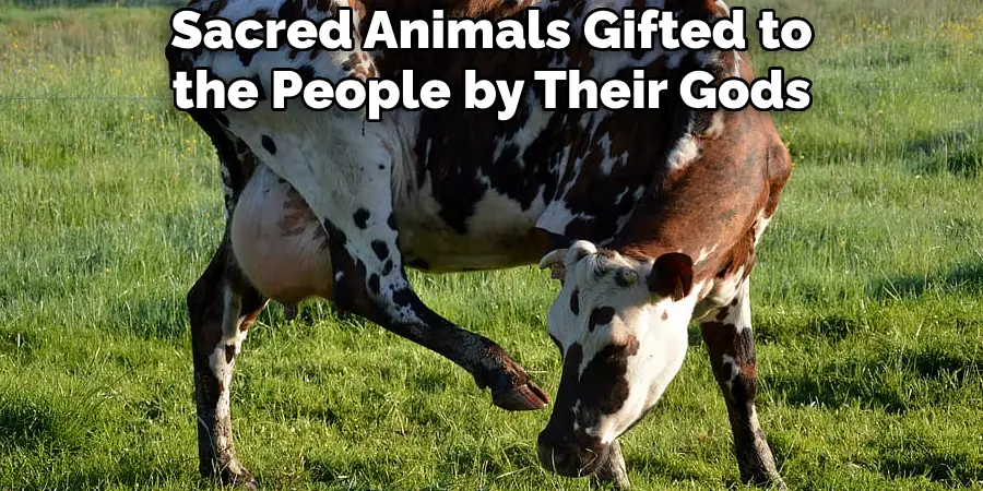 Sacred Animals Gifted to the People by Their Gods