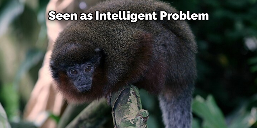 Seen as Intelligent Problem