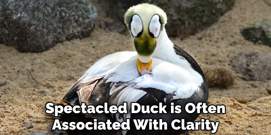 Spectacled Duck is Often Associated With Clarity