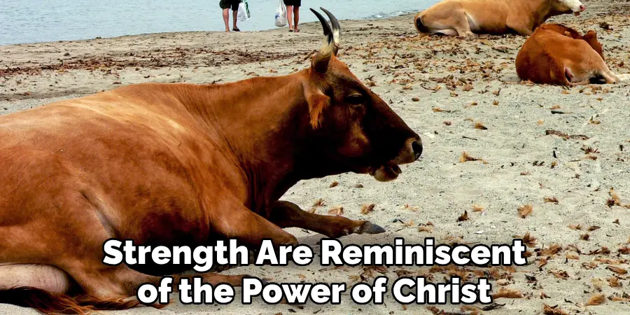 Strength Are Reminiscent of the Power of Christ